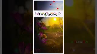 Good morning (गुड मॉर्निंग ) video #shorts #viralshorts #goodmorning #shortvideo #shortsfeed