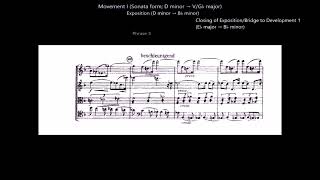 A Guided Tour of Arnold Schoenberg's String Quartet No. 1 in D minor, Opus 7 (Video 2 of 2, revised)