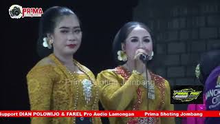 doro doro klinci ucol   lita mejo 3 - ANDIKA JAYA