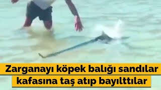 Marmaris'te sahile yanaşan zargananın kafasına taş atıp bayılttılar #shorts