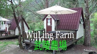 武陵農場 - Wuling Farm, Taichung, Taiwan