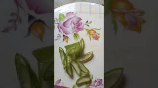 #49 so satisfaction and  relaxing Aloe Vera ASMR #Short