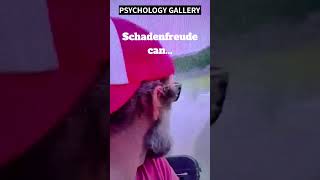 The UGLY TRUTH about Schadenfreude!!! 🤔 #shorts #shortsvideo #motivation #psychology