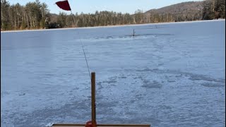 Brook Trout, bass, and who knows what! Ice fishing in Maine