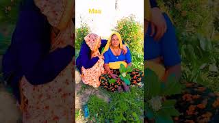 maa #gujjar #desi #automobile #new #viral #familychannel #shorts #maa