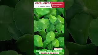 வல்லாரை கீரை பயன்கள் / Care To Cure