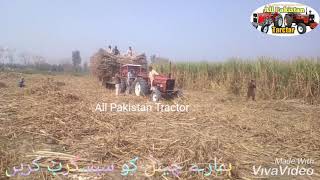 Massey MF 240 and Fiat 640 load trally