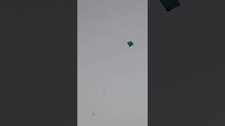 flying kite from sutar