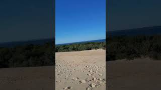 Jockey Ridge State Park North Carolina  Sand Dunes.