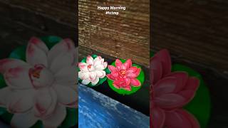 Happy Morning #shortsvideo #gm #morning #flowers #blessed #shorts #short #trending #viralvideo #4k