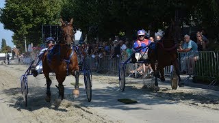 Kortebaan De Lier 2019