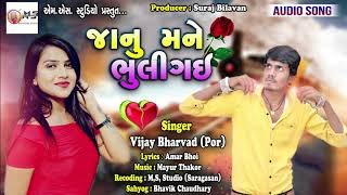 Jaanu Mane Bhuligai | Vijay Bharvad New Song | Amar Bhoi New Timali Song 2019