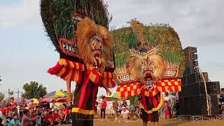 SOLAH DADAK MERAK REOG PONOROGO GALUH SURYO HONGGOLONO DAN SINGO GELANG JOYO NAILAN#dadakmerak #reog