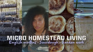 HOMESTEAD LIVING 🌿| SOURDOUGH STARTER | ENGLISH MUFFINS 🍞| HARD WORK IN THE GARDEN #homestead