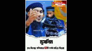 পশ্চিমারা‼️ মুসলিমদের বিরুদ্ধে ৩ টি দর্শন ছড়িয়ে দিয়েছে  | 🎙️Abu Toha Muhammad Adnan 🌺