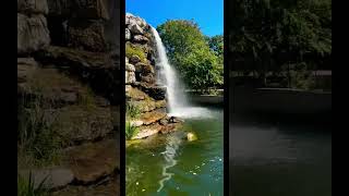 🐢Zoo Waterfall🌋#subscribe #viral #youtube #youtubeshorts #dc #zoo #turtle