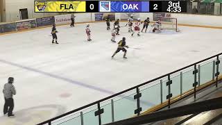 U14AA Goal