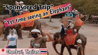 I saw an Elephant 🇹🇭 | First Time