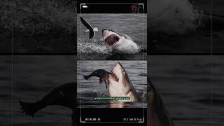 "White Shark" Ikan predator terbesar di dunia..ini faktanya " #shorts