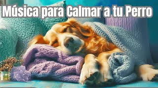 Música Relajante para Calmar la Ansiedad de tu Perro en Minutos