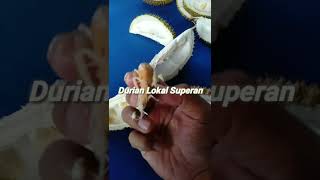 DURIAN LOKAL SUPER #shorts #viral #durian