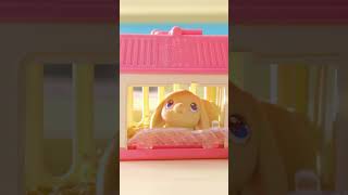 Little Live Pets | Mamma Surprise Minis | 15SEC #shorts