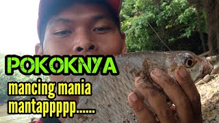 Tidak Di Sangka Ternyata Saya Bisa Dapat Ikan Yang Biasa Di Dapatkan Gondrong Labanan