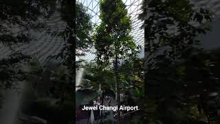 Jewel Changi Airport Singapore, The Rain Fortex. #singapore #holiday #water