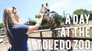 Petting The Giraffes!! ► Taking A Day Off From Work!! ► Enjoying The Toledo Zoo!