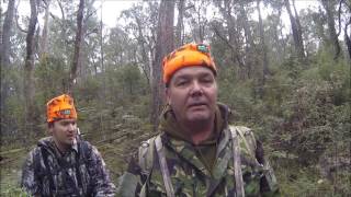 Seeking Sambar Deer in North East Victoria, Australia, Episode 2.