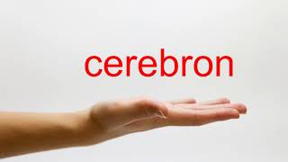 How to Pronounce cerebron - American English