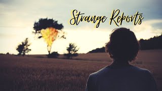 Strange Reports Part 8-B