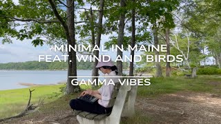 Gamma Vibes - Minimal Jam Session in Maine(feat. Wind and Birds)