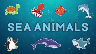 Sea Animals Vocabulary in English