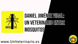 Daniel Jiménez Vidal: un #Veterinario entre #mosquitos