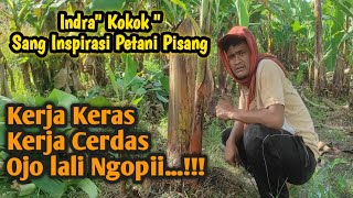 Pembersihan dan Pemilihan Bibit Pasca Panen