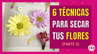 🌷6 TÉCNICAS para SECAR tus FLORES [Parte 2] 🌷#flores #floressecas #floresprensadas #manualidades