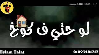 حاله واتساب مهرجان _ ابوكى تاجر سلاح _ ريشا كوستا و سماره ناو(