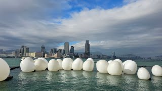 Telur raksasa di Hongkong - TeamLab 2024