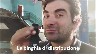 Sostituiamo LA CINGHIA DI DISTRIBUZIONE - parte 1