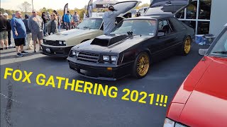 Fox Gathering 2021!!!