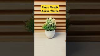 Tanaman Hias Pinus Plastik Cantik Aneka Warna