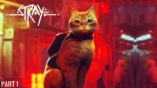 Stray - PS5 Playthrough - Part 1