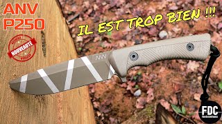 ANV P250 - Le MEILLEUR chez ANV !!! Et PAS le plus CHER 👍