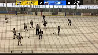 U13A Flamborough Sabres VS Burlington Eagles Flamborough Tournament Game 4