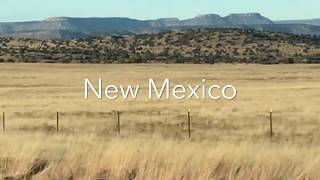 New Mexico