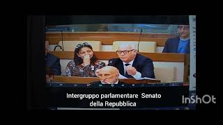 Roma,18 Gennaio 2024 Senato della Repubblica . Convegno sui diritti.