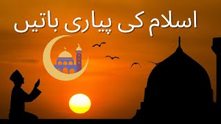 Islamic General Knowledge | General Knowledge Quiz | Islamic Quiz