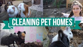 Cleaning The Pets Homes