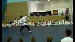 Kyushindo Karate